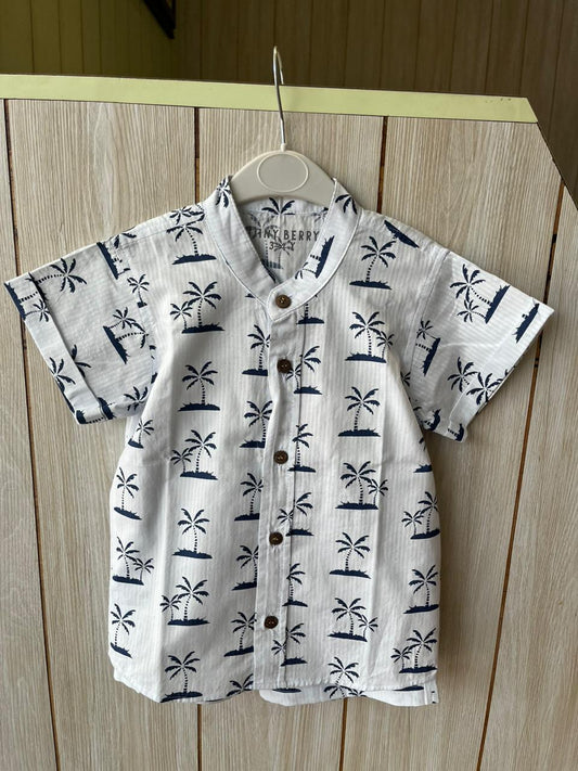 Palm Shore